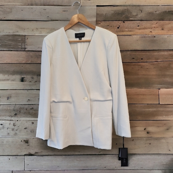 Carlisle Collection Wooster Minimalist Colarless Blazer Quiet Luxury - Picture 1 of 16